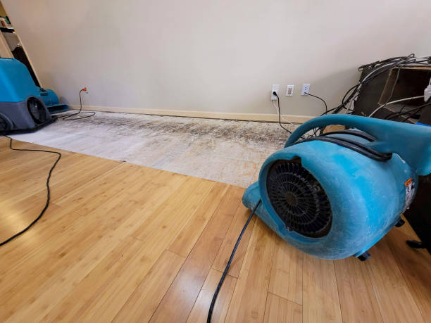 Professional Basement Flood Cleanup technician working in Scottsdale, AZ